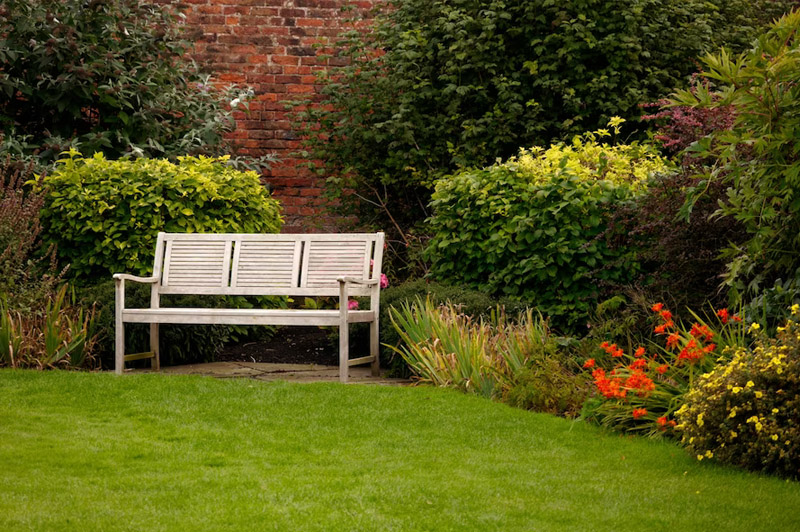 Dream about Backyard interpretation