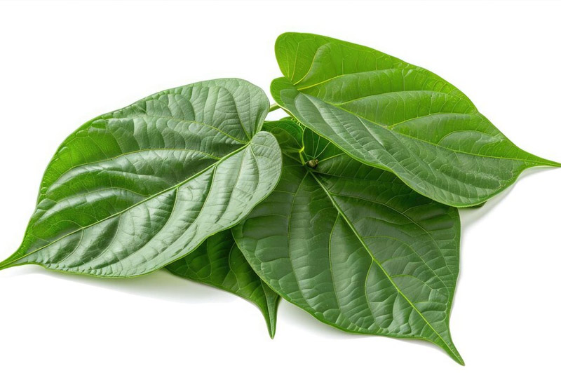 Dream about Betel interpretation