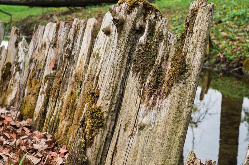 Dream about Boundary interpretation