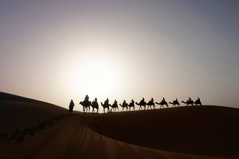 Dream about Ambiyaa (as) interpretation