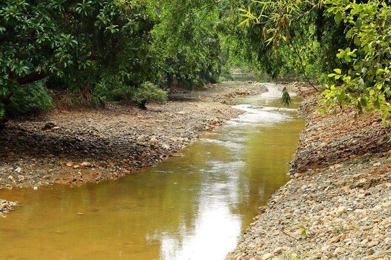 Dream about Bund (dike) interpretation
