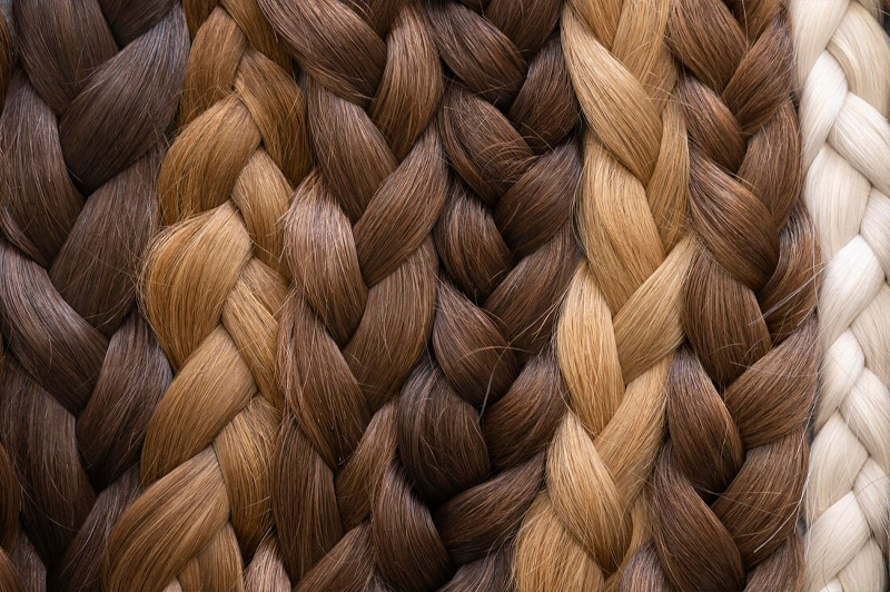 Dream about Braid interpretation