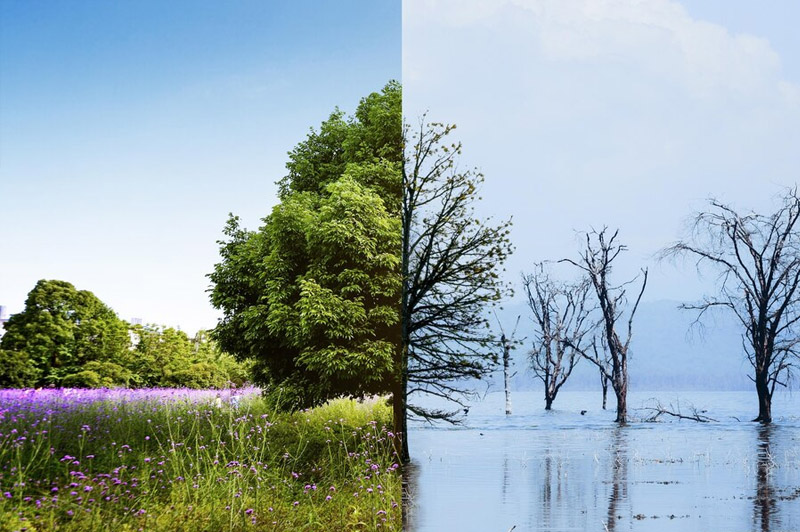 Dream about Alteration interpretation