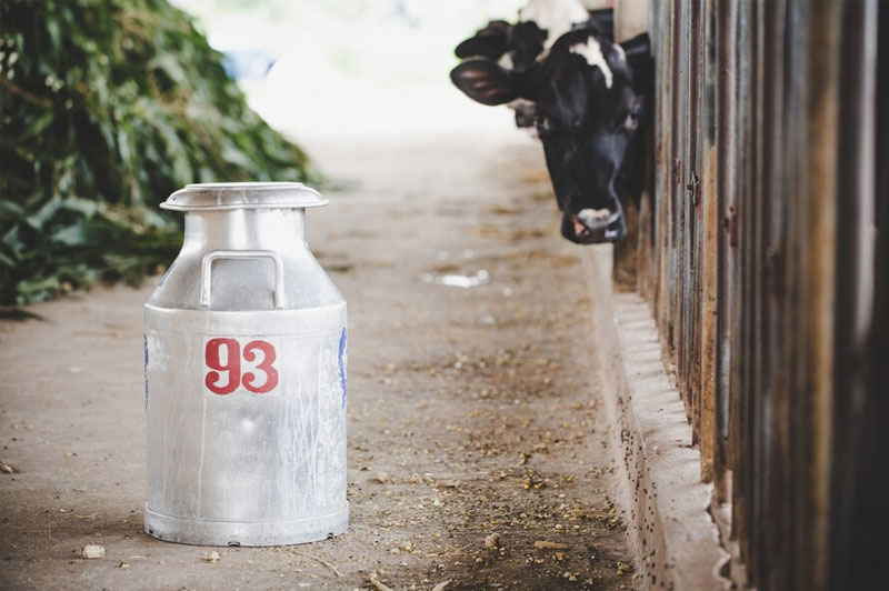 Dream about Canister interpretation