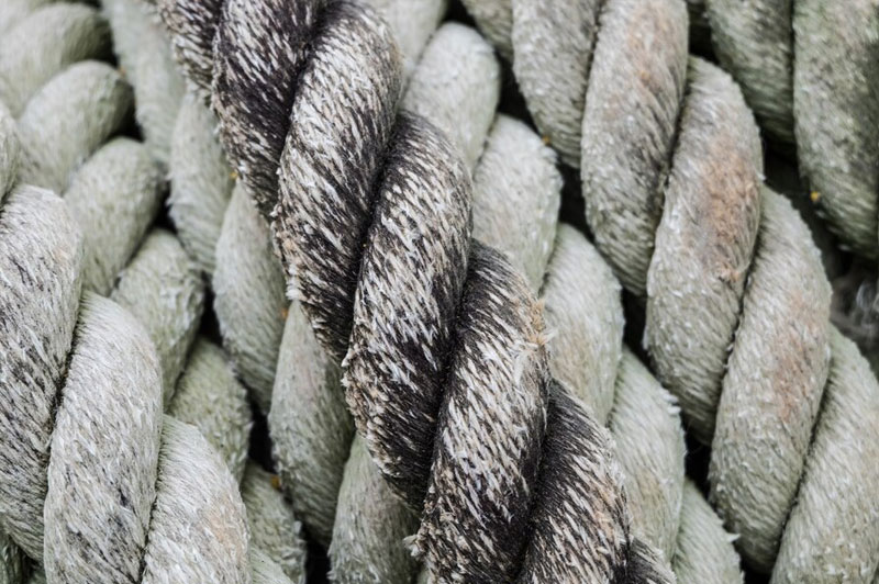 Dream about Cord interpretation