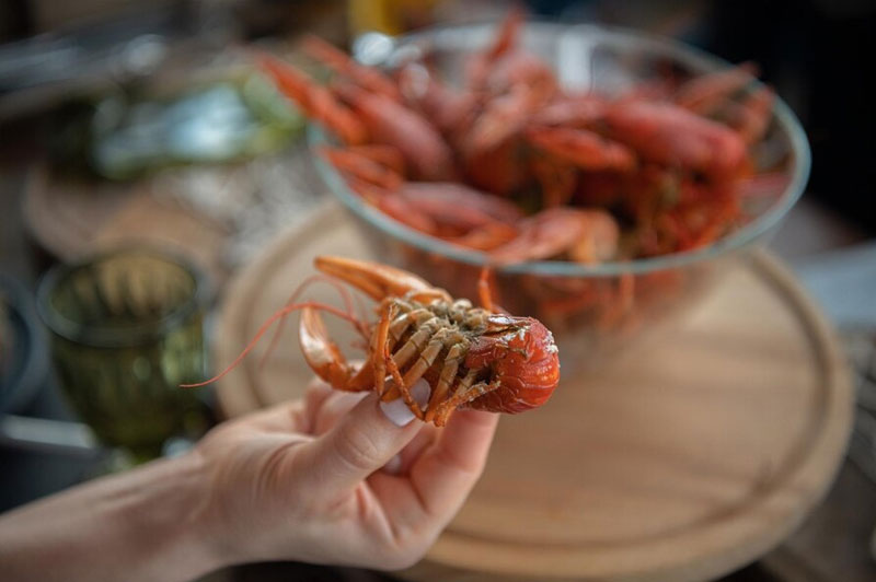 Dream about Crawfish interpretation