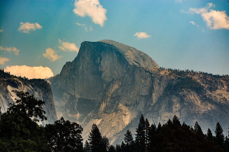 Dream about Crest interpretation