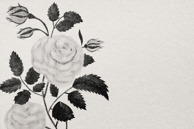 Dream about Debauchery interpretation