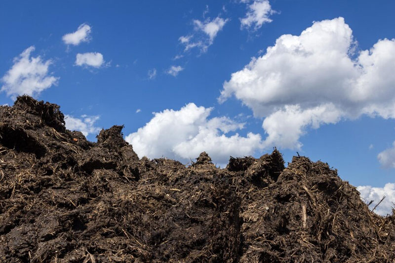 Dream about Dirt interpretation