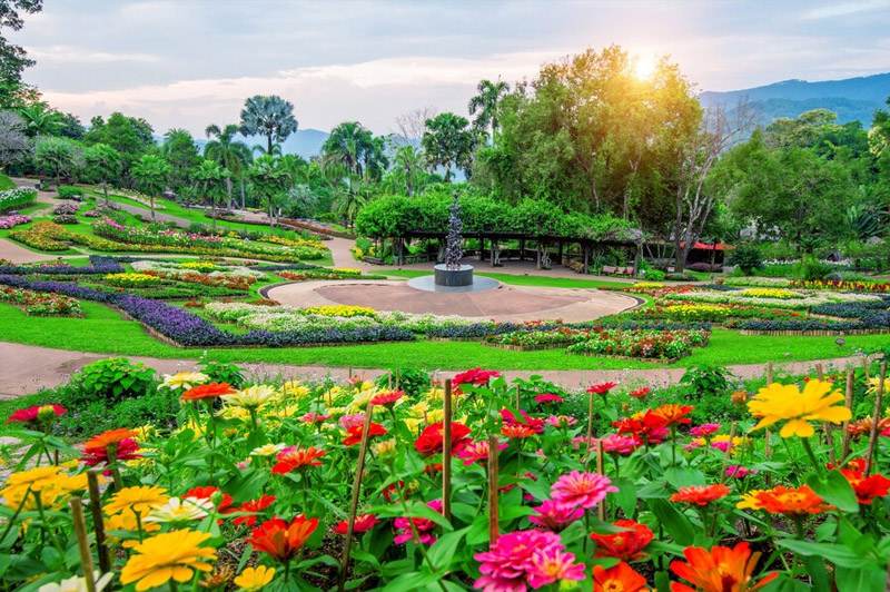 Dream about Garden interpretation