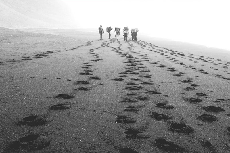 Dream about Follow interpretation