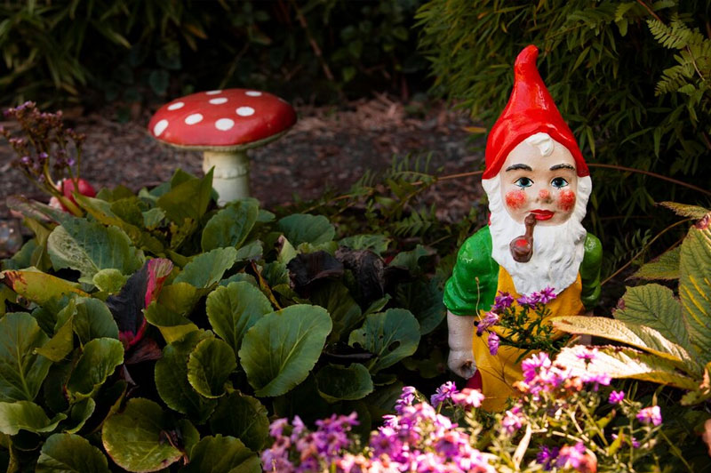 Dream about Gnome interpretation