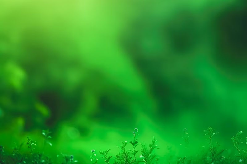 Dream about Green interpretation