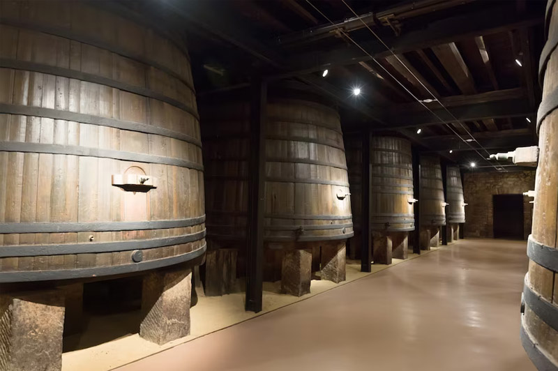 Dream about Cellar interpretation