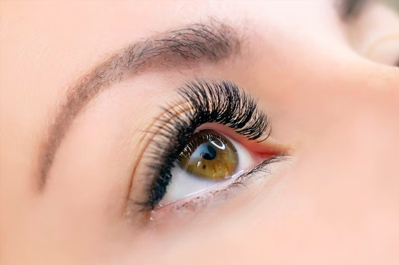 Dream about Eye-lashes interpretation