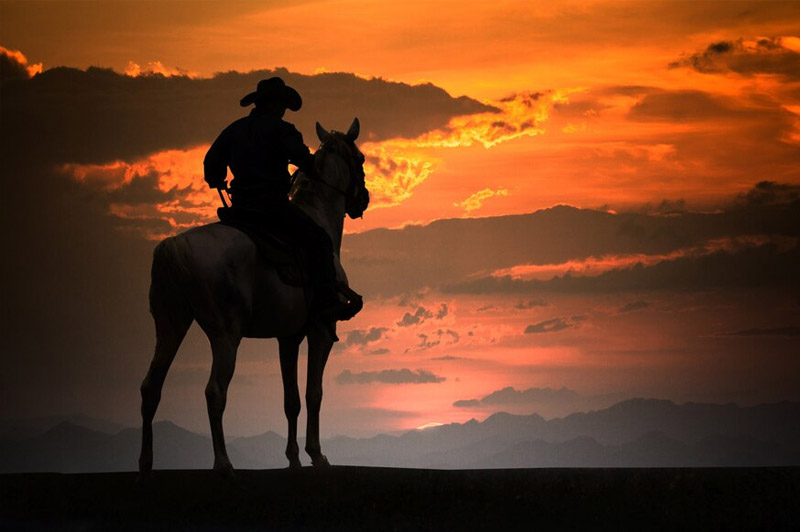 Dream about Gaucho interpretation