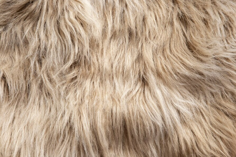 Dream about Fur interpretation