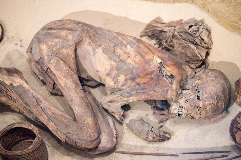 Dream about Embalm interpretation