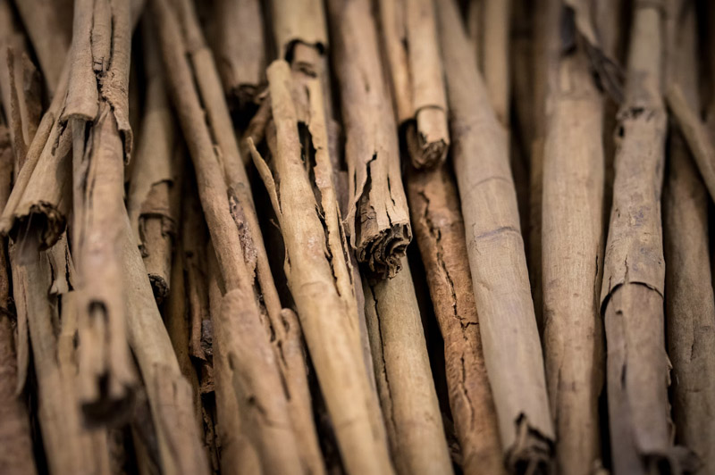 Dream about Stick interpretation