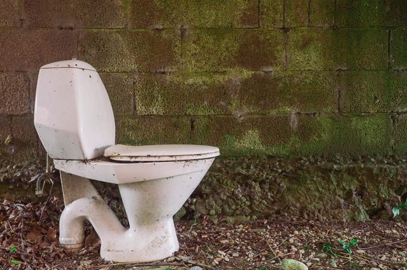 Dream about Toilet interpretation