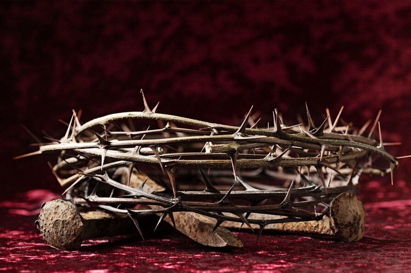 Dream about Thorn interpretation