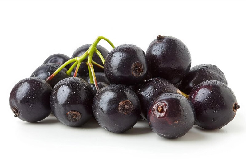 Dream about Jambolie (fruit) interpretation