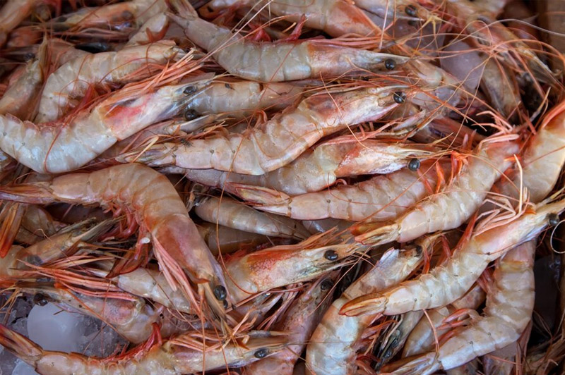 Dream about Shrimp interpretation