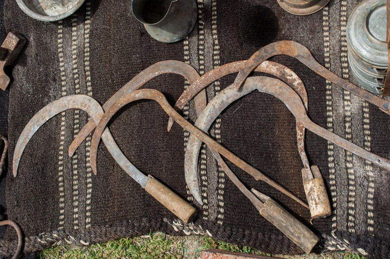 Dream about Sickle interpretation