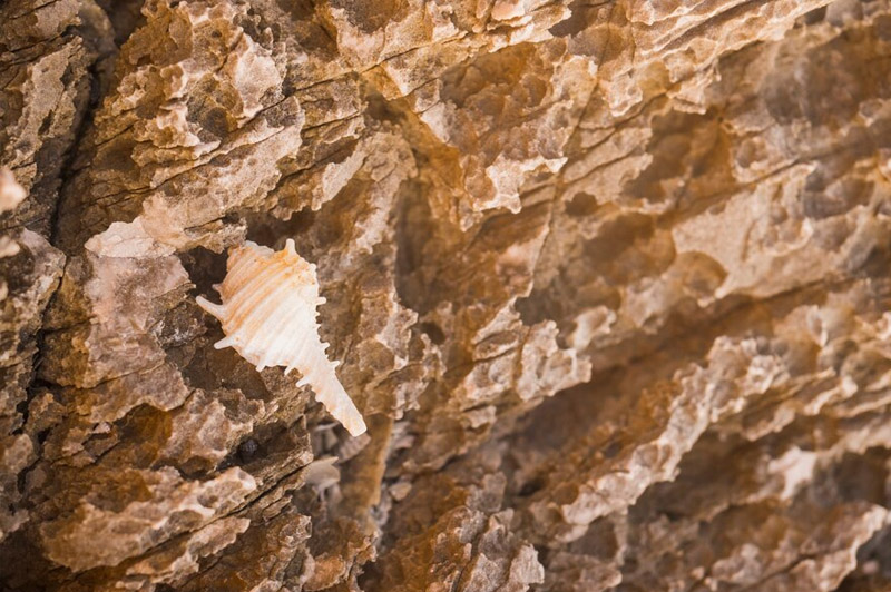 Dream about Load stone interpretation