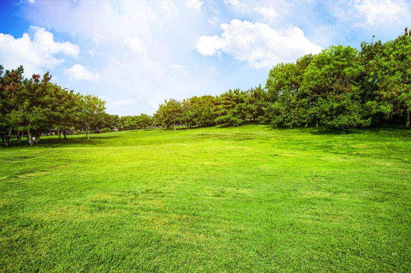 Dream about Land interpretation