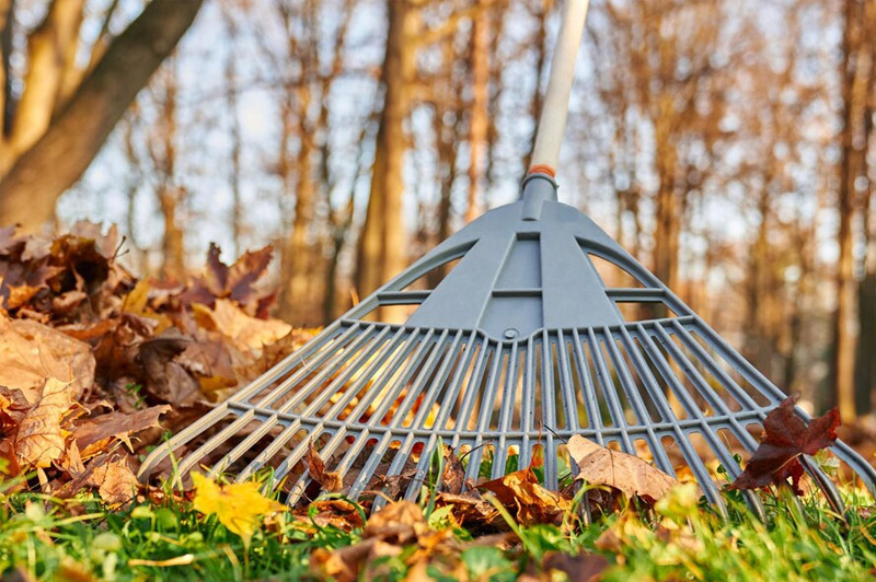 Dream about Rake interpretation