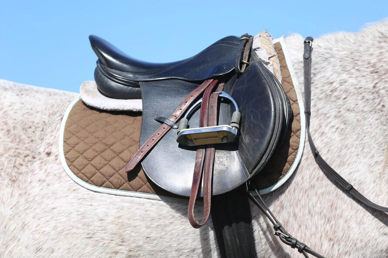 Dream about Pack saddles interpretation