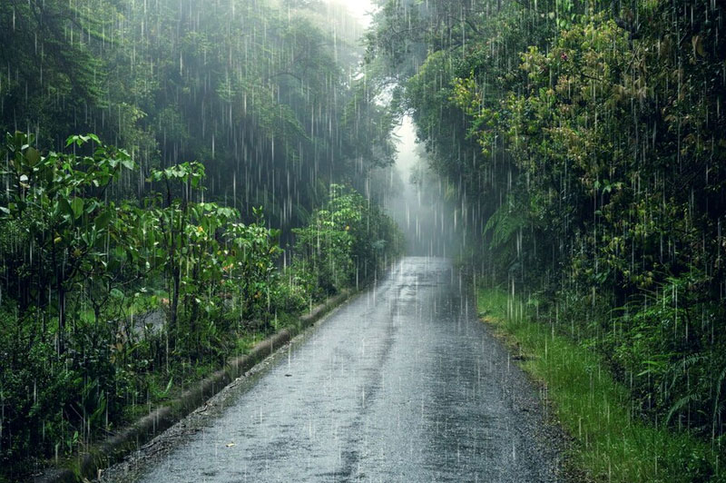 Dream about Rain interpretation