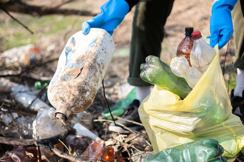 Dream about Litter interpretation