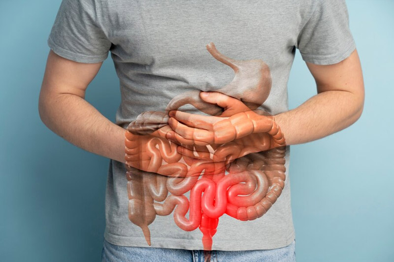 Dream about Intestine interpretation