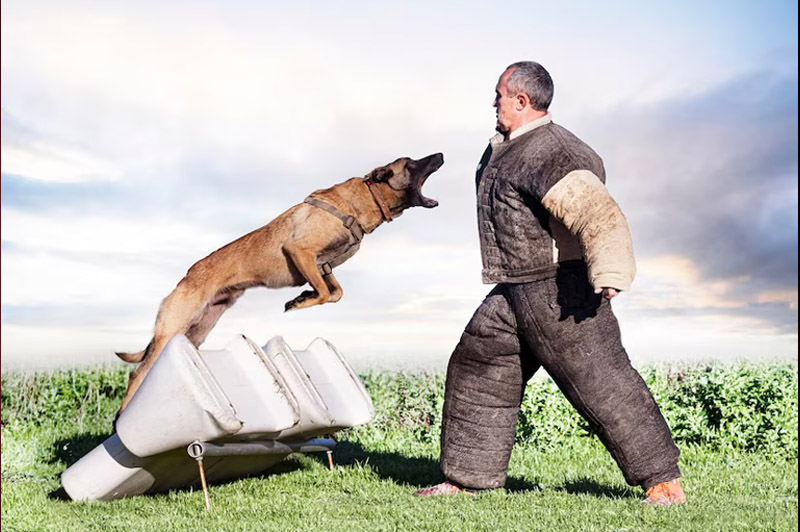 Dream about Valiant interpretation