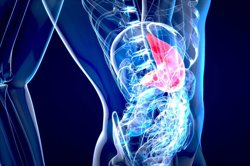 Dream about Spleen interpretation