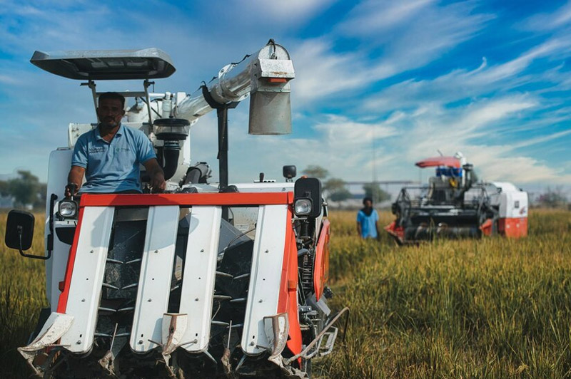 Dream about Reap interpretation