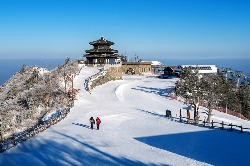 Dream about Quest interpretation