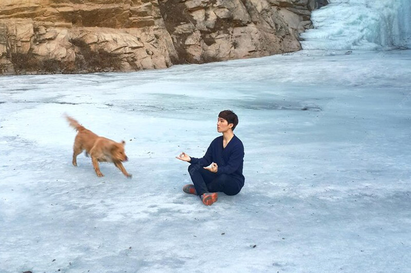 Dream about Mediate interpretation