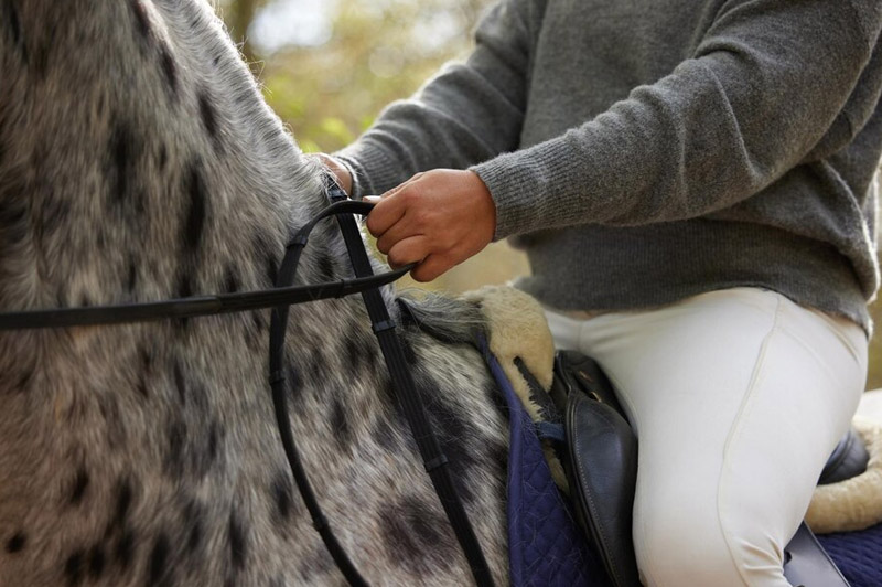 Dream about Reins (bridle) interpretation