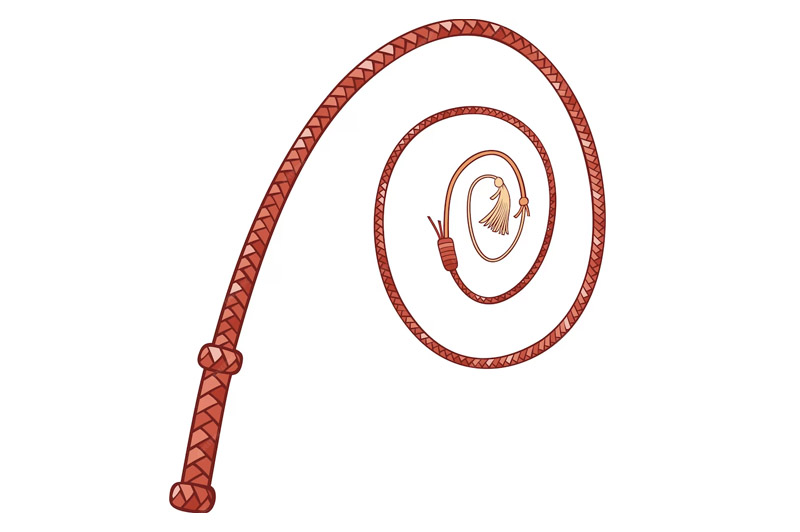 Dream about Whip interpretation