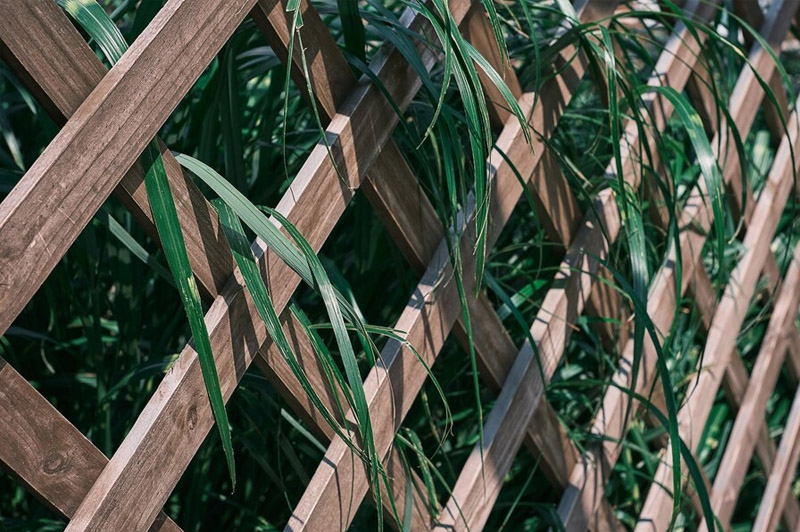 Dream about Picket interpretation