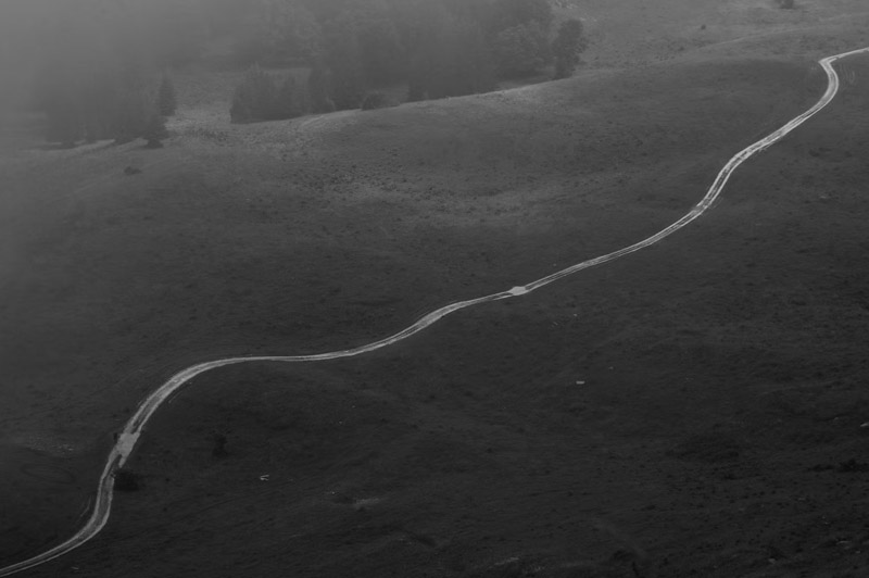 Dream about Long for interpretation