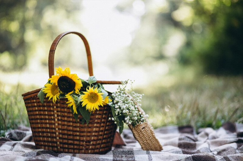 Dream about Basket interpretation