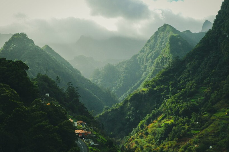 Dream about Unknown Greenery interpretation