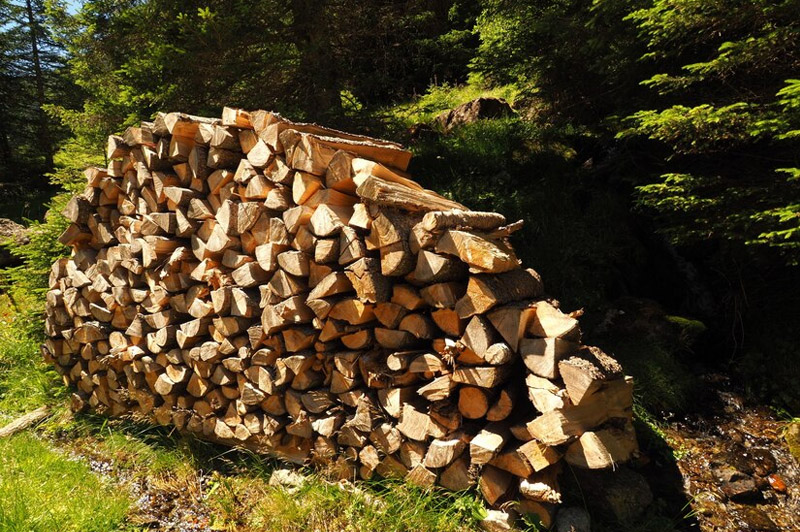 Dream about Timber and Firewood interpretation