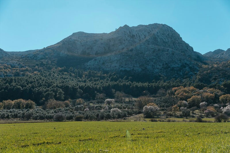 Dream about Mountain interpretation