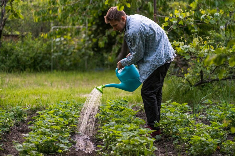 Dream about Watering a Tree interpretation