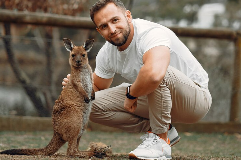 Dream about Becoming the Owner of Wild Animals interpretation